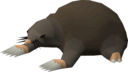 Giant Mole