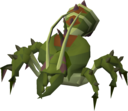 Kalphite Queen