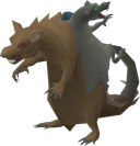 Scurrius